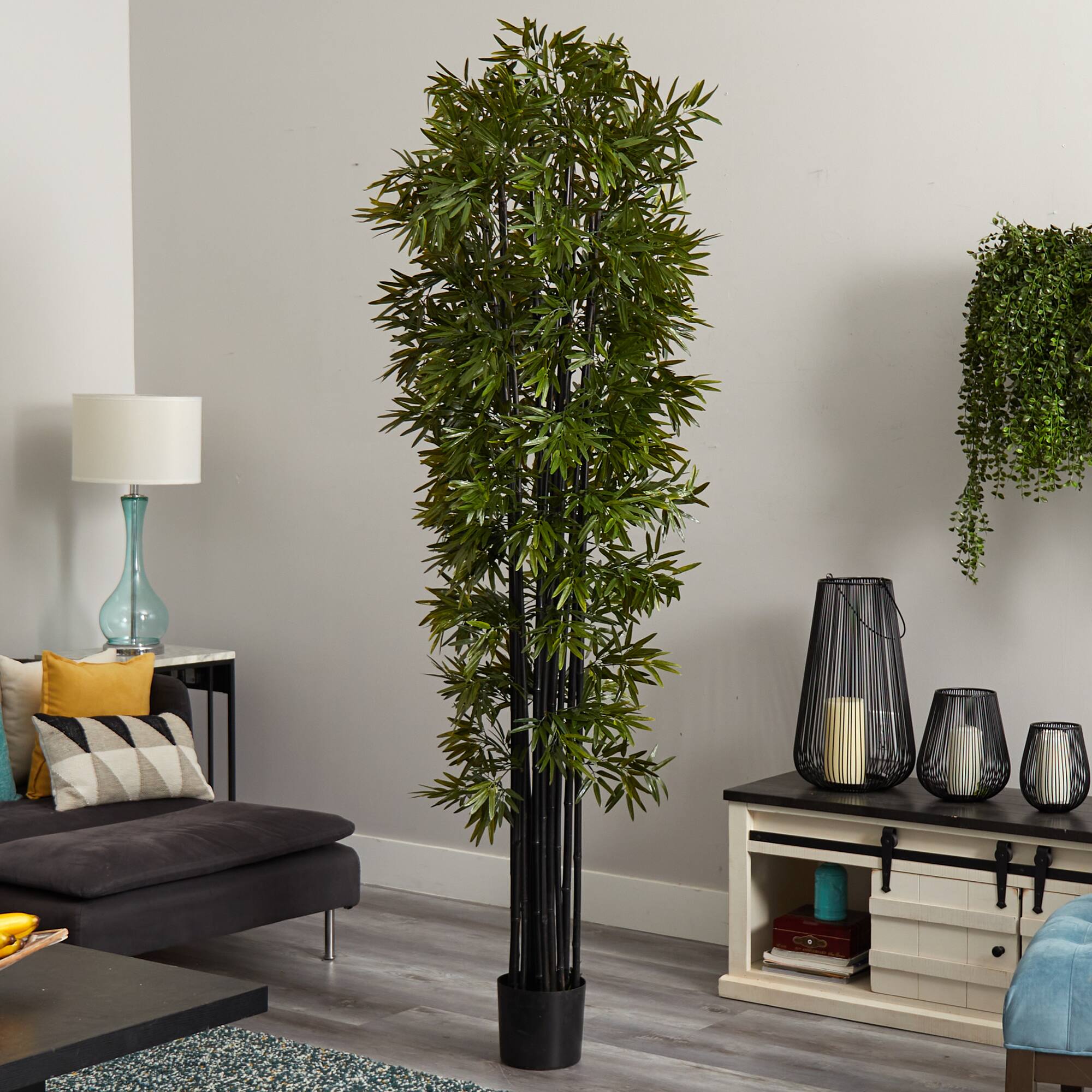 7ft. Potted Bamboo Tree with Black Trunks
